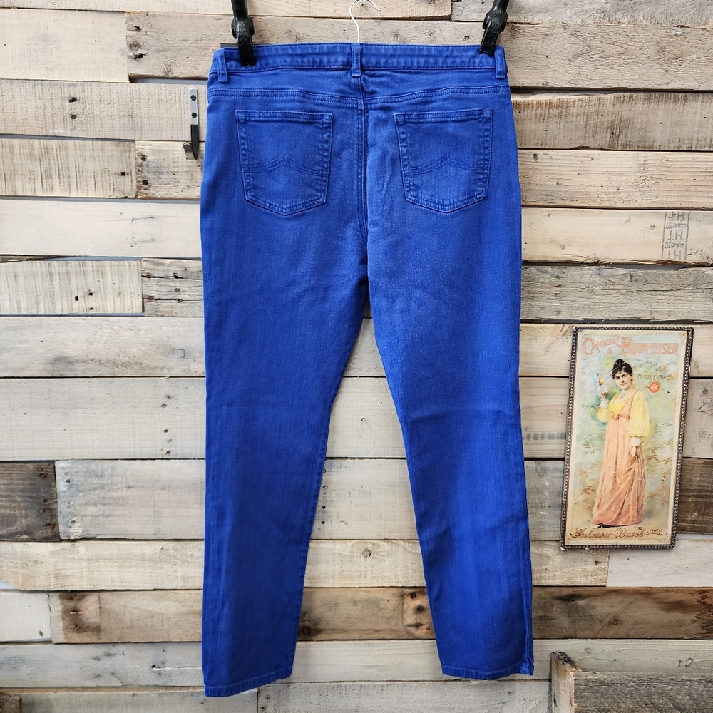 Michael Kors Jeans Women's 12 Blue Mid-Rise Skinny Leg Pant-Measured